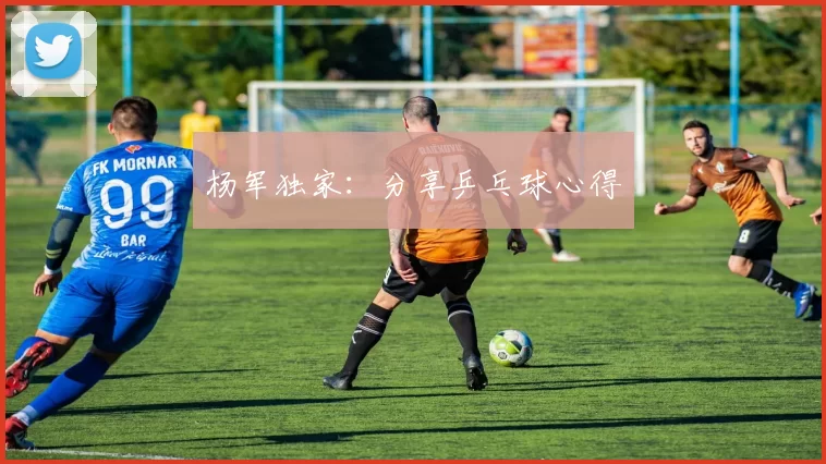 杨军独家：分享乒乓球心得