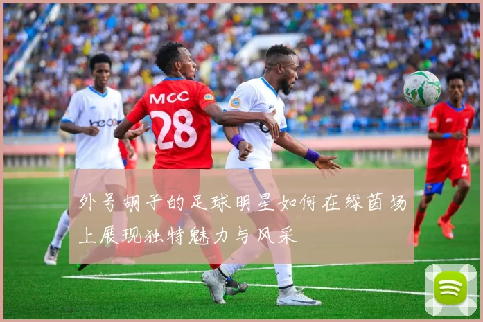外号胡子的足球明星如何在绿茵场上展现独特魅力与风采