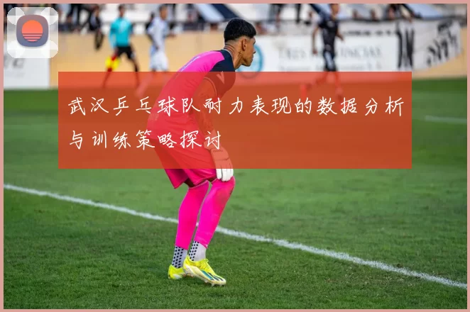 武汉乒乓球队耐力表现的数据分析与训练策略探讨