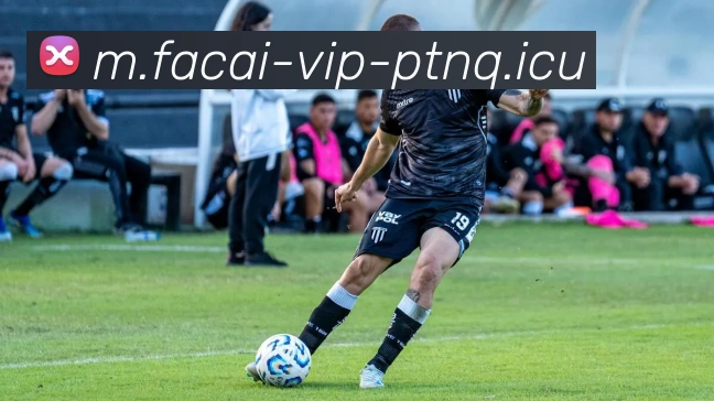 爱游戏体育平台生态图